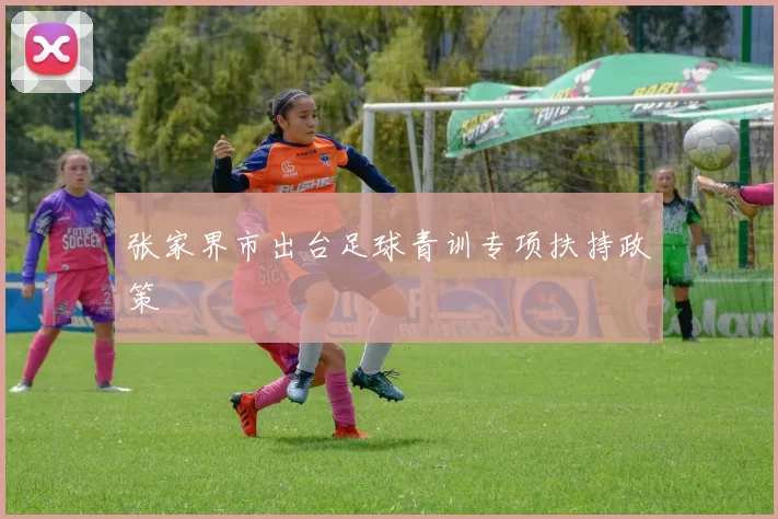 张家界市出台足球青训专项扶持政策