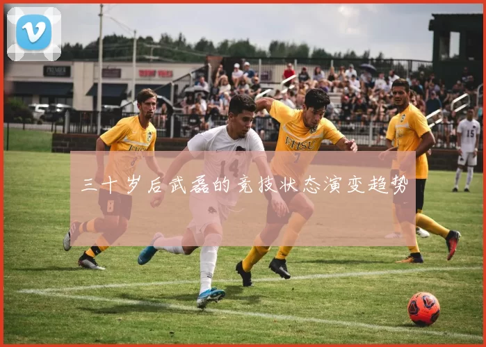 三十岁后武磊的竞技状态演变趋势