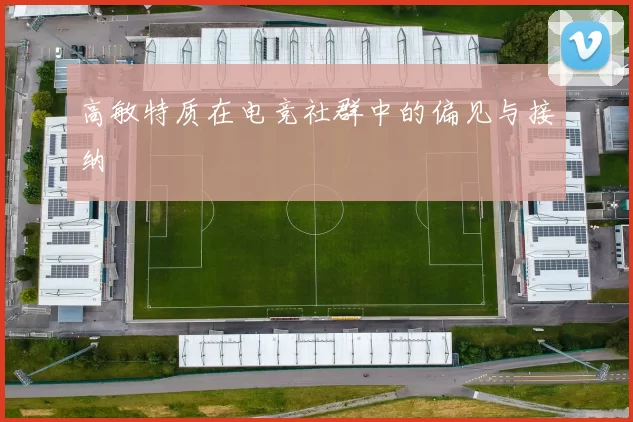 高敏特质在电竞社群中的偏见与接纳