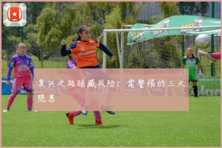 复兴之路暗藏风险：需警惕的三大隐患